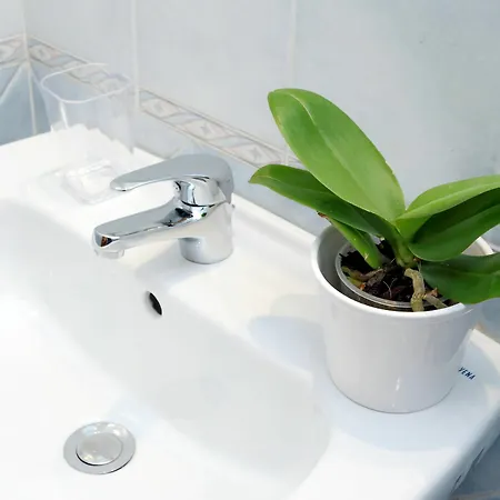 San Lorenzo District Appartement