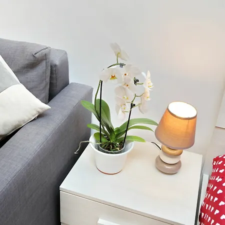 Apartment San Lorenzo District *